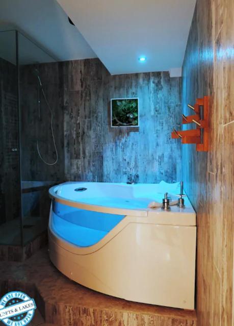 Le Cocon - Lofts & Lakes Certified 4-Stars Annecy Eksteriør bilde